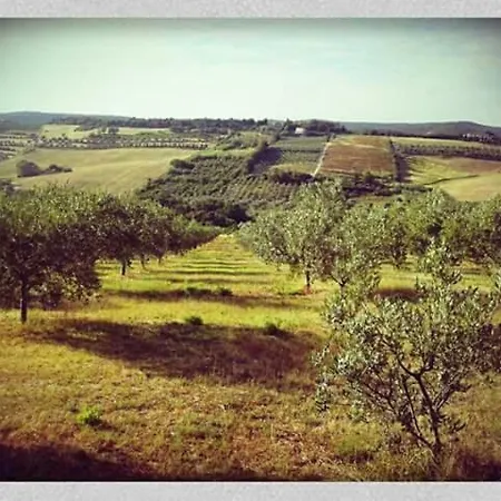 Toscagialla Oda ve Kahvaltı San Vincenzo